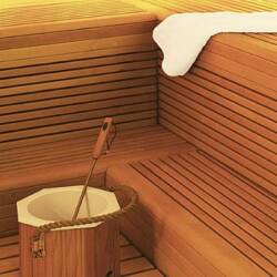 Sauna Room Tylo Vital Vision